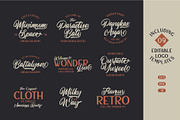 The Lastwinter - Vintage Script, a Script Font by Garisman Std (Thumbnail 6 of 9)
