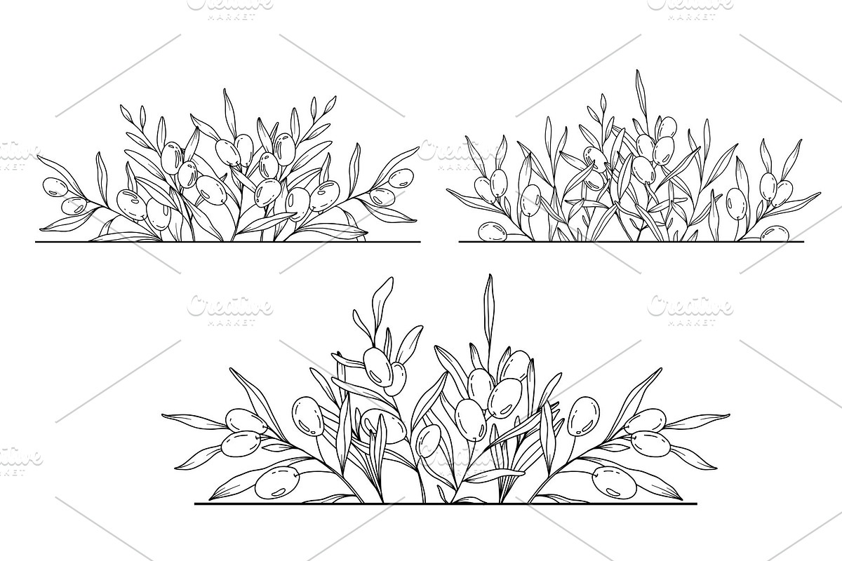 Olive Branch Line Art Clipart SVGs, a Decorative Illustration by Stellalunarts (Photo 10 of 12)