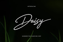 Daisy Handwritten Font