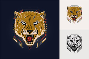 Angry cheetah