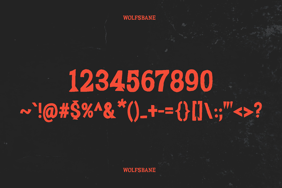 WOLFSBANE, a Serif Font by Midnight Grim (Photo 5 of 6)