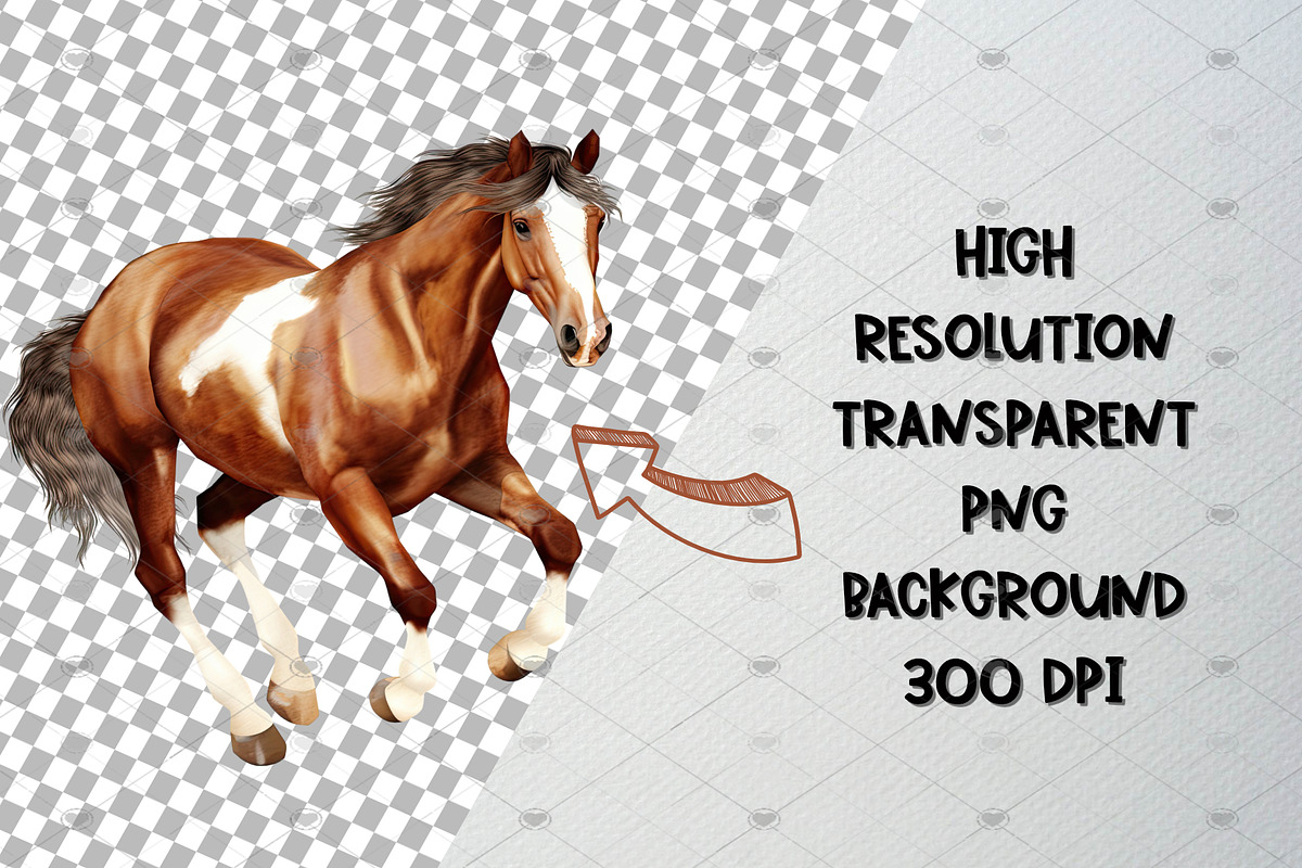Watercolor Horse Clipart Set, 50 PNG, an Animal Illustration by CropUp Creative (Photo 3 of 5)
