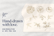 Illustrated Peonies, a Decorative Illustration by Yung (Thumbnail 3 of 5)