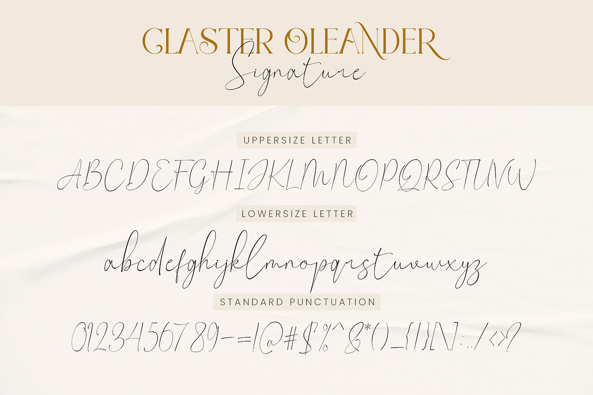 Claster Oleander, a Font by ToniStudio (Photo 8 of 11)