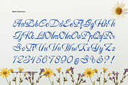 Ranoa Scaloth | Handwritten Script, a Script Font by gracetype_studio (Thumbnail 9 of 11)