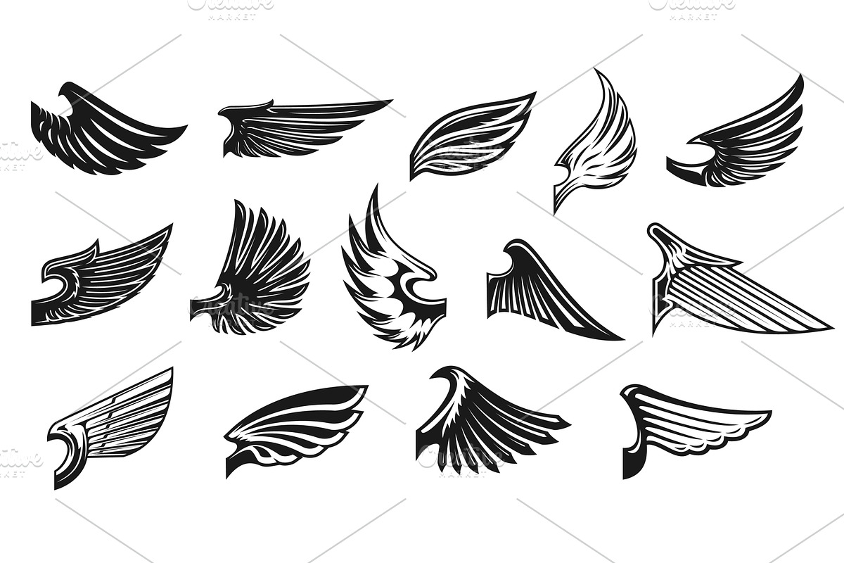 Eagle angel and cupid wings, a Decorative Illustration by Vector Tradition