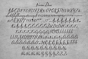 Nerine & Nerine Deux, a Script Font by STUDIOWAYS (Thumbnail 7 of 8)