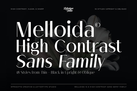 Melloida Family | Intro 75% OFF