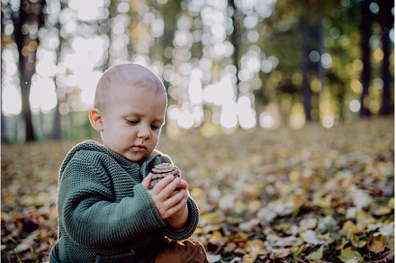 Little boy sitting in dry leaves in, a Person Photo by HalfPoint