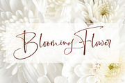 Boisterous Signature, a Script Font by Dhan Studio (Thumbnail 20 of 24)