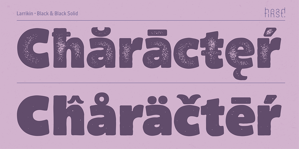 Larrikin, a Sans Serif Font by HeadFirst (Photo 13 of 13)