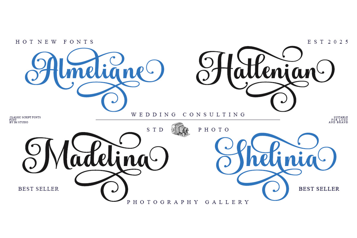 Andelintia, a Script Font by IM Studio (Photo 9 of 9)