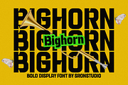 Bighorn - Bold Strong Font, a Sans Serif Font by Sronstudio (Thumbnail 1 of 12)