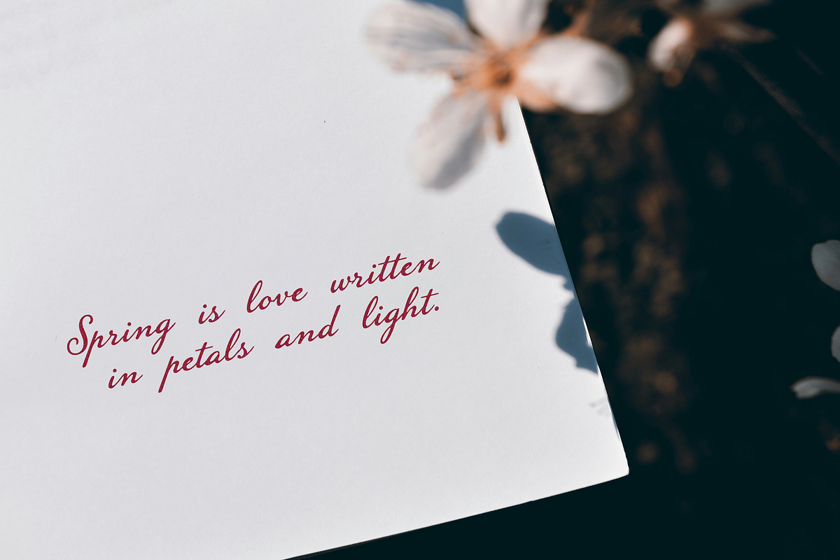 Pearl Fleur – Elegant Script Font, a Script Font by gafaroff studio (Photo 4 of 7)