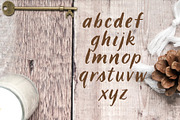 LBBrushy, a Handwritten Font by Laura Bolter Design (Thumbnail 3 of 6)