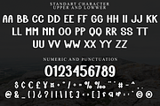 Spring Mountain, a Script Font by FreshTypeINK (Thumbnail 4 of 8)
