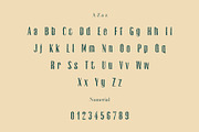 Gacoki Brush Font, a Sans Serif Font by Creativetacos (Thumbnail 5 of 14)