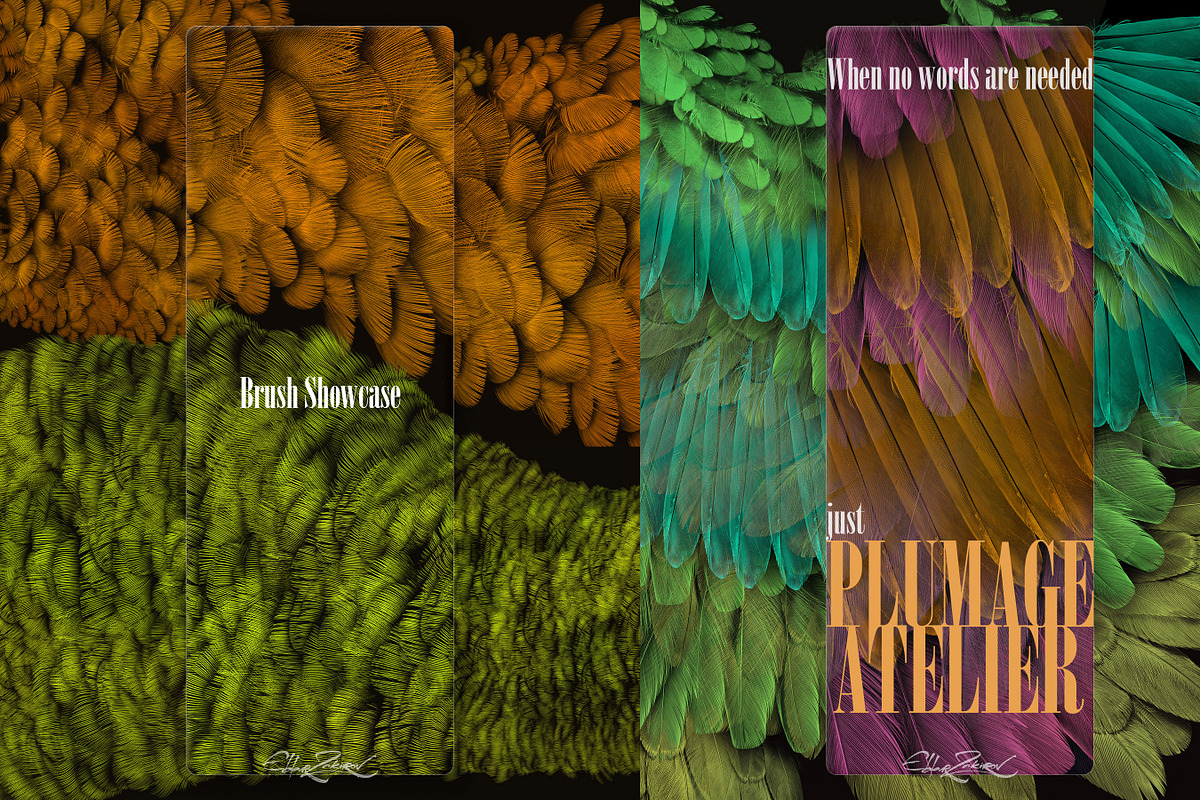 Plumage Atelier. Procreate Brushes, a Brush Add-On by Eldar Zakirov's (Photo 25 of 25)