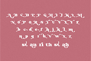 Perfectly Romantic, a Serif Font by Typegoals Studio (Thumbnail 3 of 8)