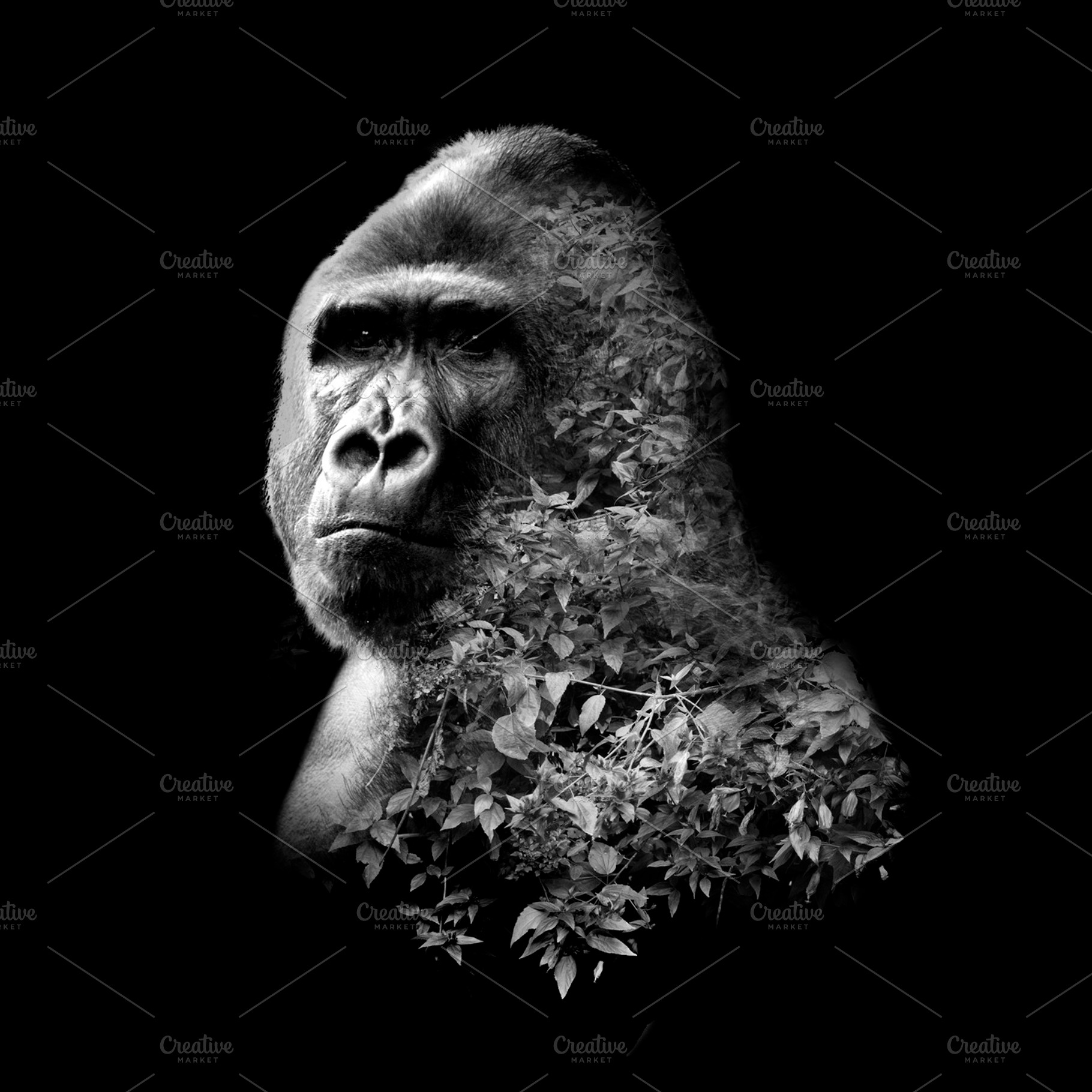 Gorilla with double exposure effect, an Animal Photo by Olgait