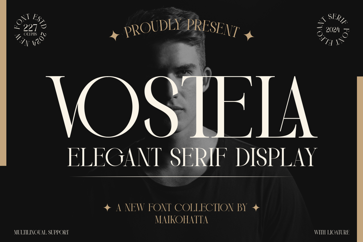 Vostela - Elegant Serif Display, a Serif Font by MaikoHatta (Photo 1 of 6)