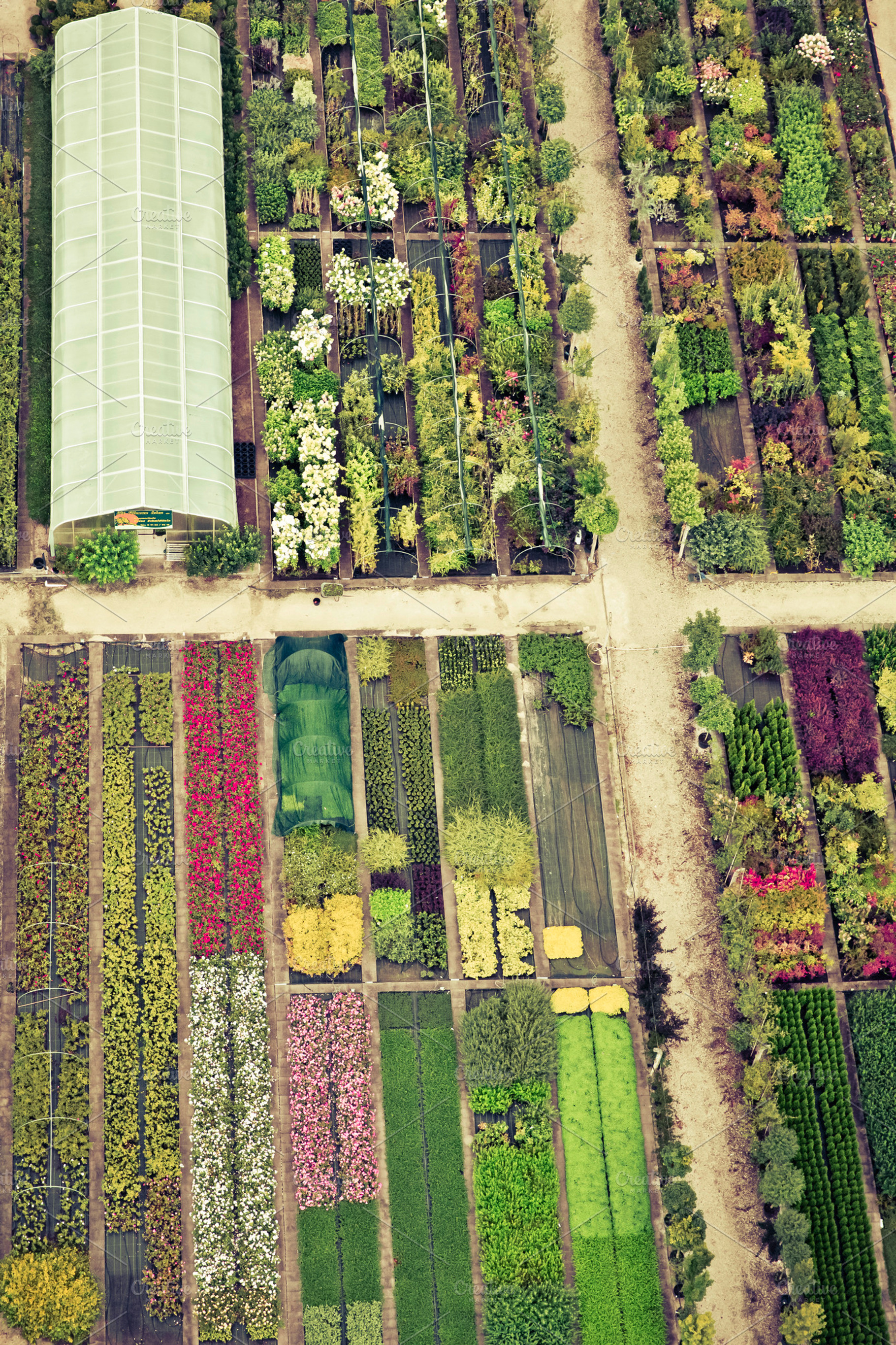 market garden