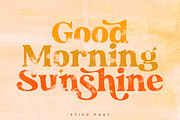 Stiko Vintage Font, a Serif Font by vuuuds (Thumbnail 8 of 13)