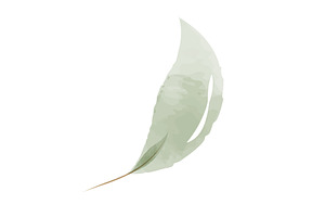 Delicate green watercolor leaf, an Object Illustration by okskukuruza