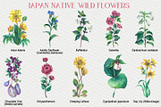 Japan native wild flowers watercolor, a Decorative Illustration by FITALARTSNEDIGI (Thumbnail 2 of 8)