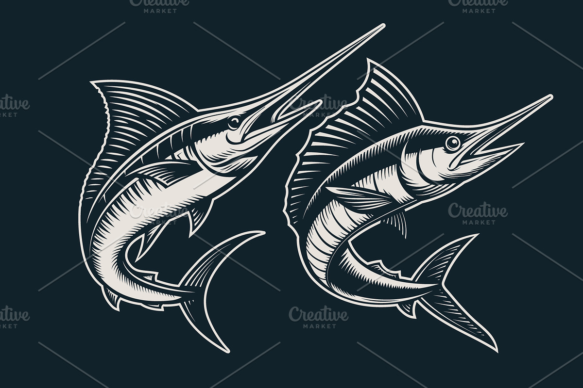 Set vintage marlin illustration, an Animal Illustration by zdson