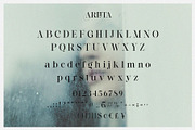 Arlita – Unique Ligature Font, a Serif Font by BrandSemut (Thumbnail 9 of 10)