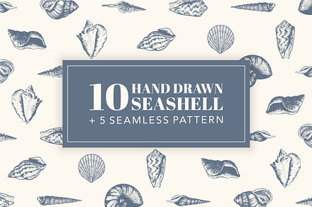 10 Hand Drawn Seashell + 5 Patterns