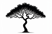 Wild Forest Tree Clipart Set, an Illustration by balal (Thumbnail 4 of 20)