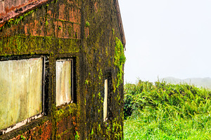 Mossy mountain refuge building on Mount Pelee in Martinique, an Architecture Photo by Leonid Andronov