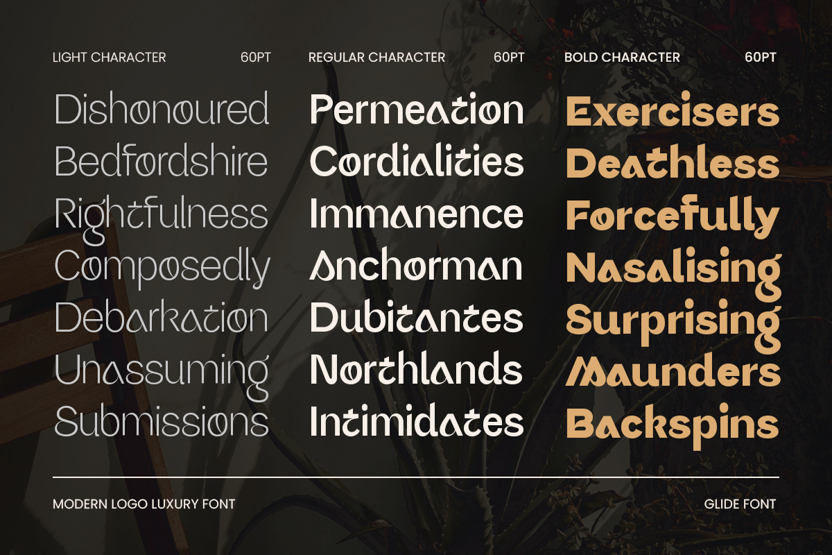 Glide - Modern Logo Luxury Font, a Sans Serif Font by Sensatype (Photo 4 of 14)
