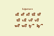 Metras - Classic Bold Font, a Serif Font by Luna Shop (Thumbnail 4 of 10)