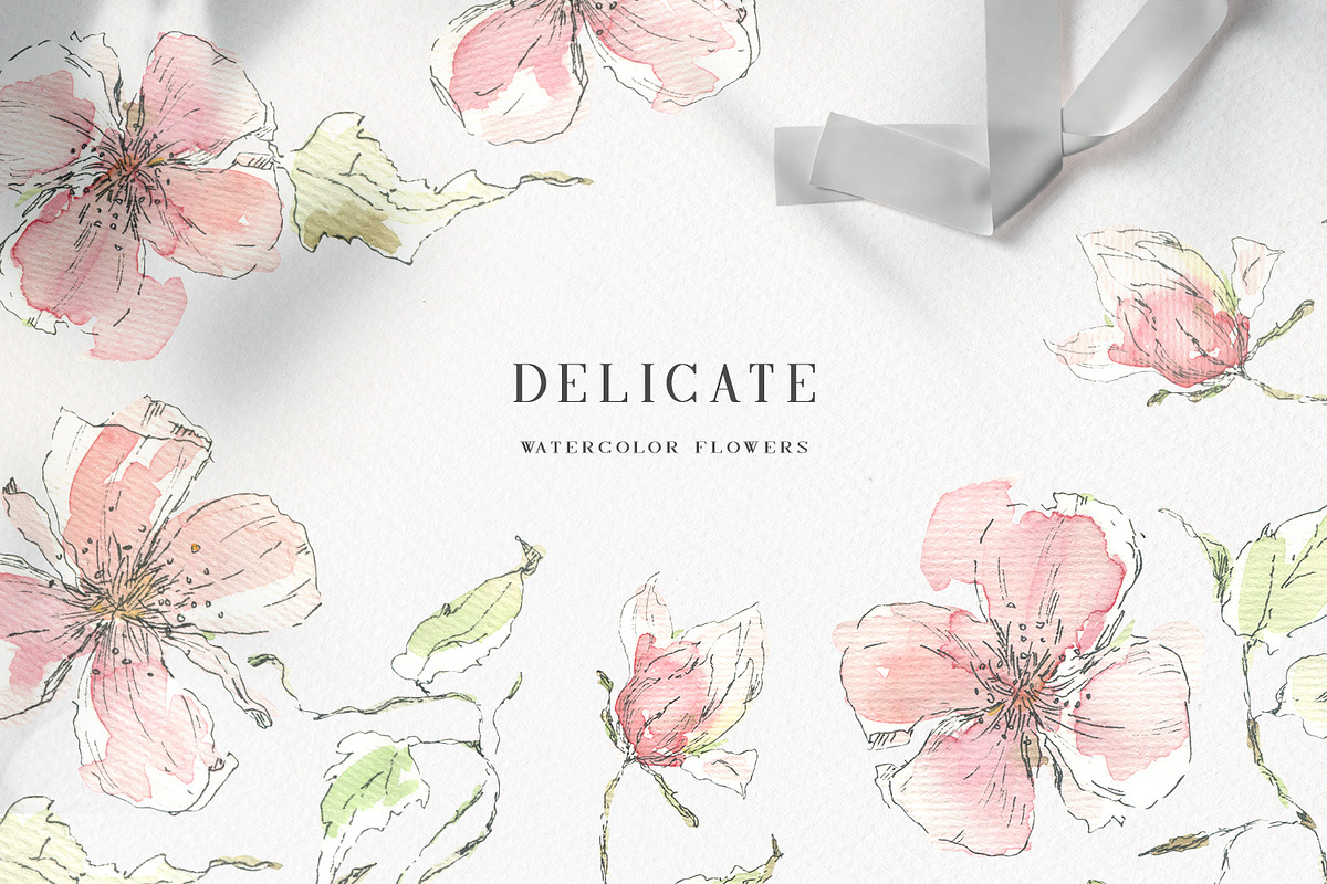 Watercolor delicate flowers, a Decorative Illustration by Summer Nightingale Art (Photo 1 of 4)