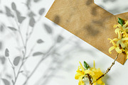 Plant Shadow Backdrops Video Bundle, a Mockup by rebrandy (Thumbnail 21 of 24)