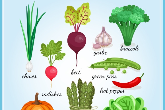 Healthy Fresh Vegetables Icons
