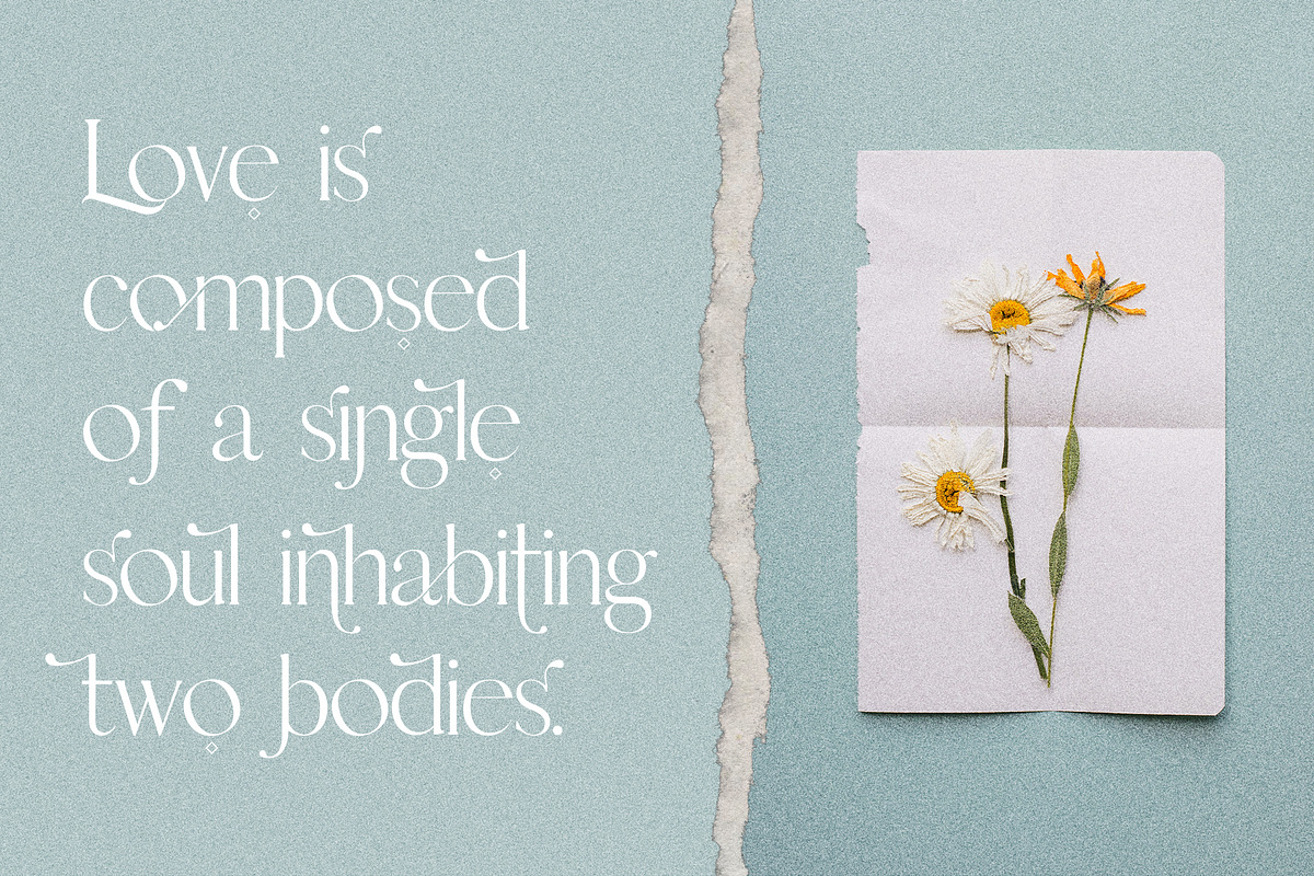 Esther - Stylish Ligature Serif Font, a Serif Font by SilverStag Type Foundry (Photo 23 of 27)
