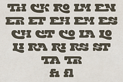 Nastilon – Slab Serif Font, a Slab Serif Font by NDNL Studio (Thumbnail 8 of 9)