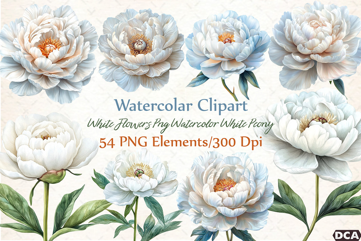 White Flowers Png Watercolor White P, an Illustration by DreamCafeArt (Photo 1 of 7)