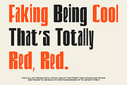 CS Despina Mix, a Sans Serif Font by Craft Supply Co. (Thumbnail 5 of 8)