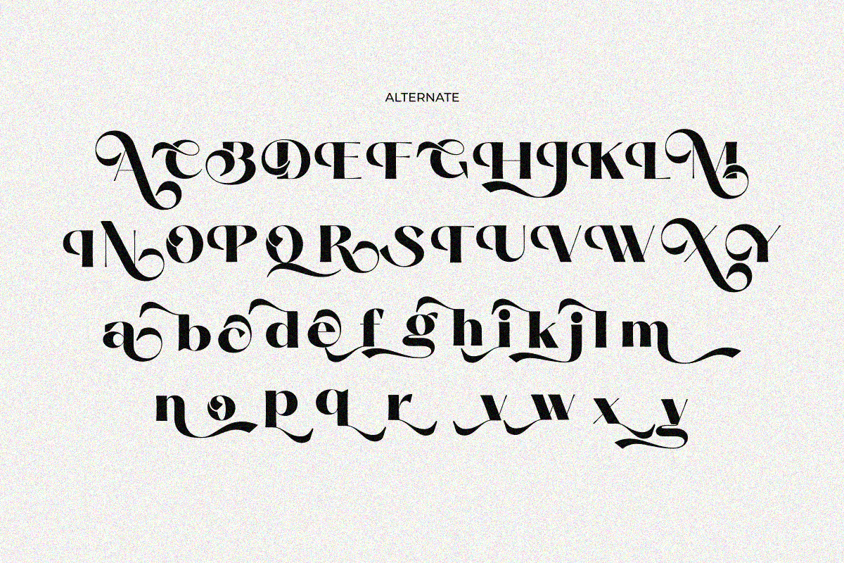 Morv, a Serif Font by zaaintype (Photo 10 of 11)