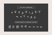 Clamaty script, a Script Font by Gatype (Thumbnail 7 of 8)