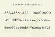 Piziza Brush Font, a Serif Font by Creativetacos (Thumbnail 10 of 12)