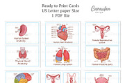 Human Organs Anatomy, a Healthcare Illustration by Serghei Caraulan (Thumbnail 3 of 4)