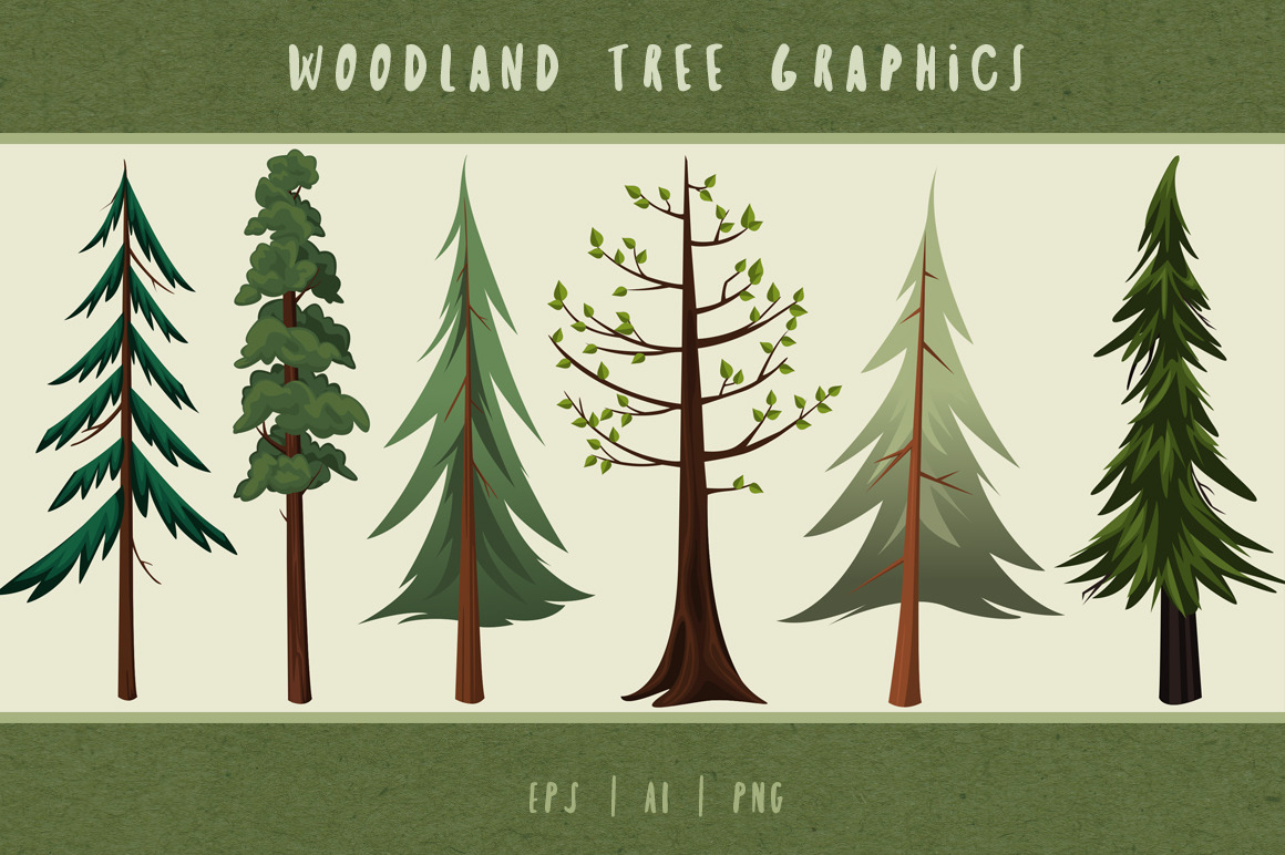 Woodland Trees Graphics, an Illustration by Dapper Dudell