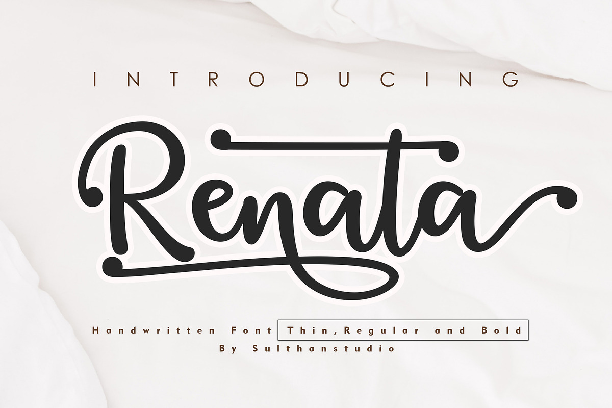 Renata, a Script Font by Sulthan Studio (Photo 1 of 9)