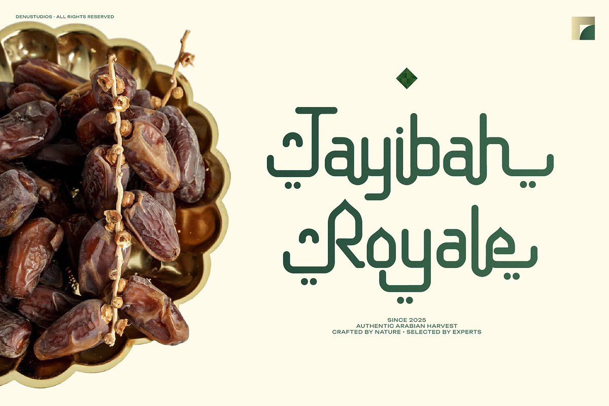 Nouriyah | Arabic Typeface, a Handwritten Font by Denustudios (Photo 4 of 12)